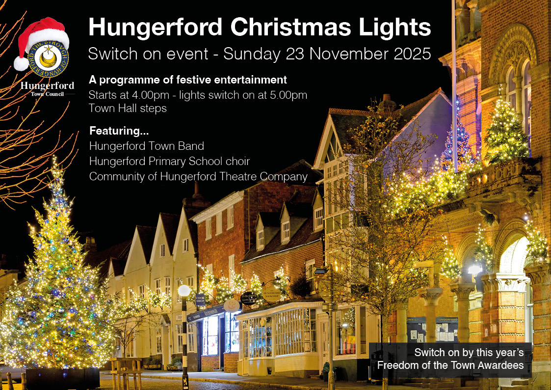 Christmas Lights Switch on Event poster